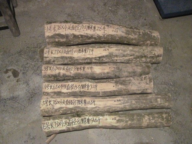 湖北正宗小叶珍珠黄杨原木料 雕刻人物佛像 财神摆件珠子弹弓笔筒