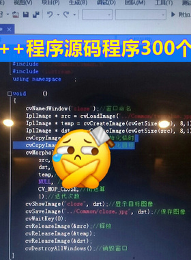 C++程序设计项目代码源码300个模板、类、vector应用示例注释详解