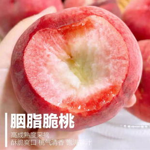 稀有胭脂脆蜜桃 自家果园脆甜多汁桃香浓郁当天现摘现发包脆甜