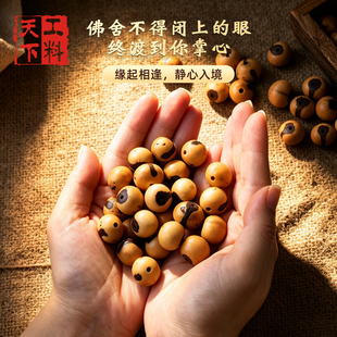 天然佛眼菩提子手串diy配件手工手作材料包文玩多宝散珠精工打磨