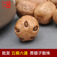 厂家直销菩提子散珠原籽优质五眼六通原料佛珠手串串珠配件五眼果