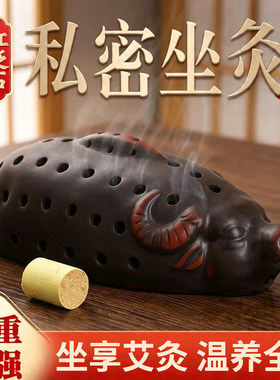 私密灸会阴灸会阴穴艾灸器女性专用砭石坐灸仪中医院艾灸屁股神器