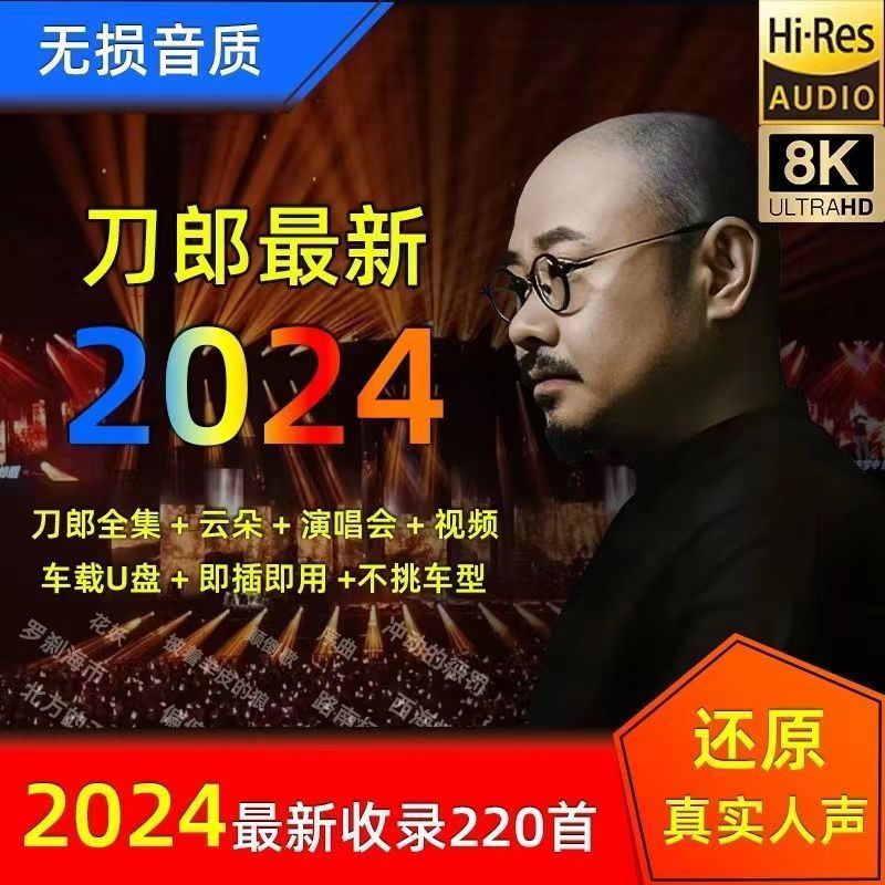 2024车载U盘高清全视屏音乐