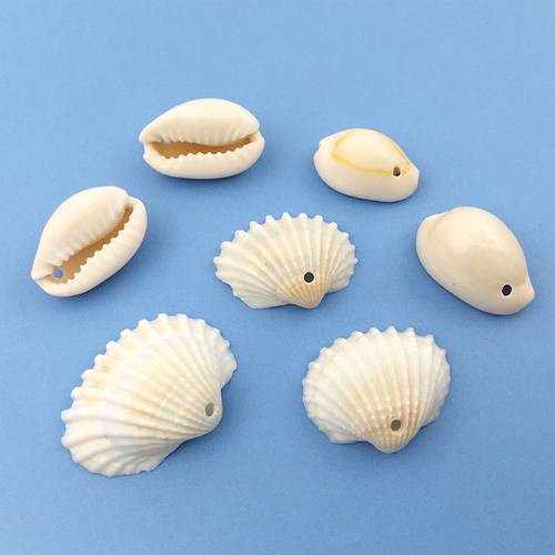 diy10g带孔天然小螺自制贝壳