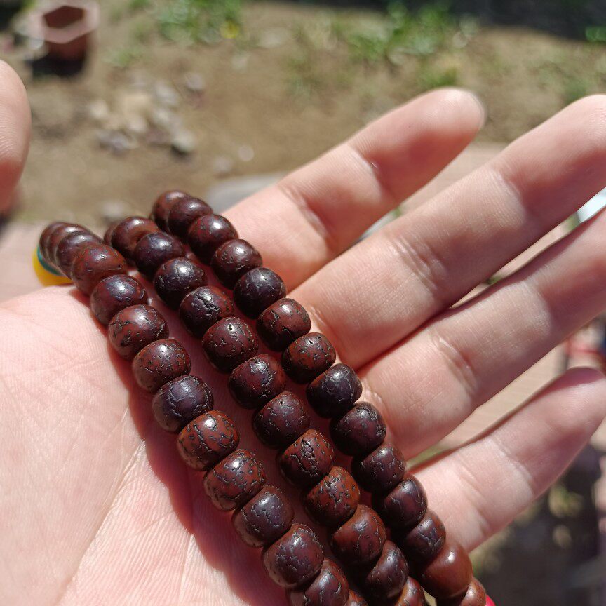 老血丝金钱菩提 精品老货 坤圣珠宝