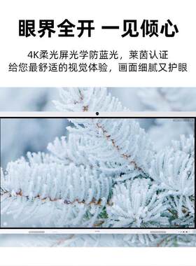 Huawei/华.为IdeaHubB2会议平板65/75/86尺寸电子平板教学智慧屏