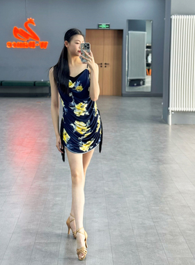 ZS褶皱流苏 拉丁舞性感美背舞蹈练功服练习 艺考表演连衣裙 L602