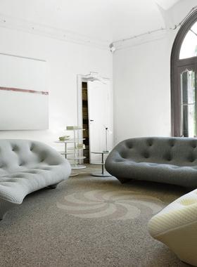 法国ligne roset写意空间ploum欧洲原装进口陈小春同款弧形沙发