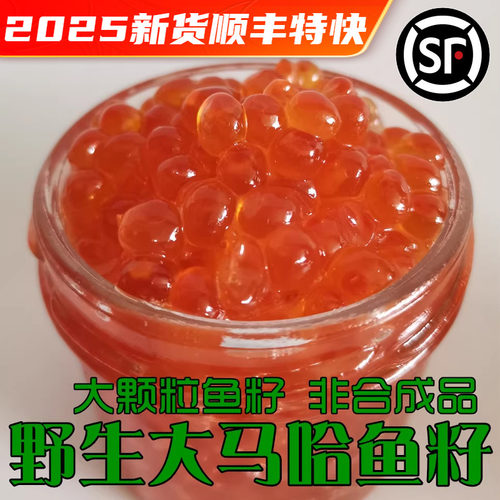 保真大马哈鱼籽淡盐新鲜油籽
