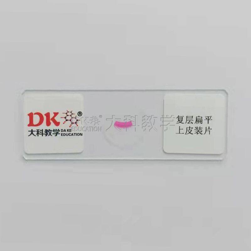 复层扁平上皮装片 10片/盒 生物显微玻片标本 中小学教学使用,文具电教/文化用品/商务用品,教学仪器/实验器材,淘宝优惠券,粉丝福利购,淘宝优惠卷