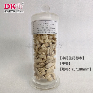 生药标本 中药标本馆展示展览 干姜 黑豆 天麻 定制品请咨询客服