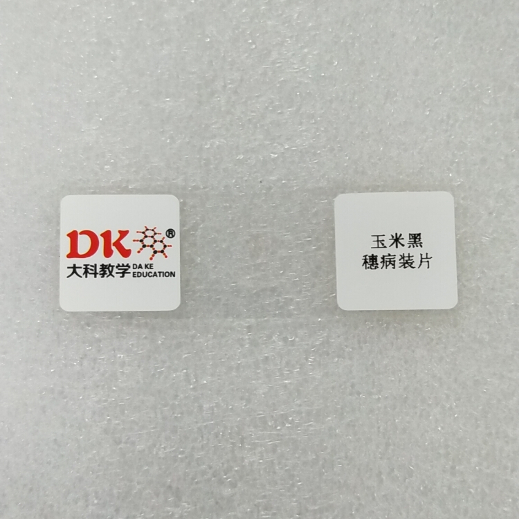 工厂直销生物显微标本 植物病理切片 玉米黑穗病装片