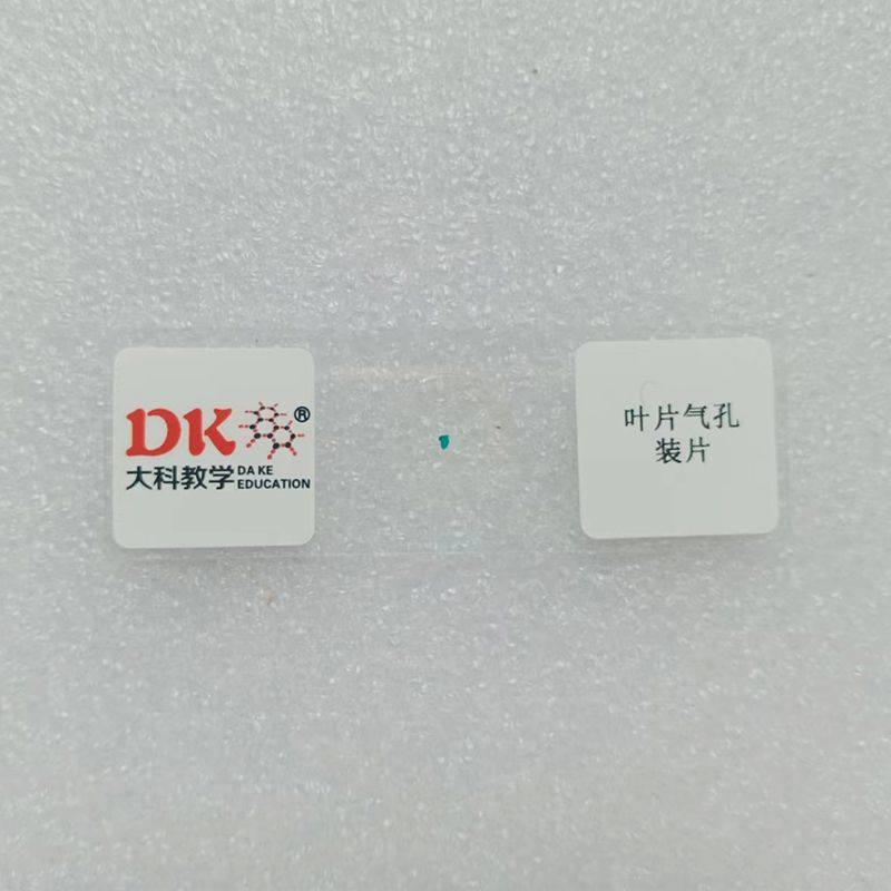叶片气孔装片 10片/盒 生物切片 玻片标本 中小学专用
