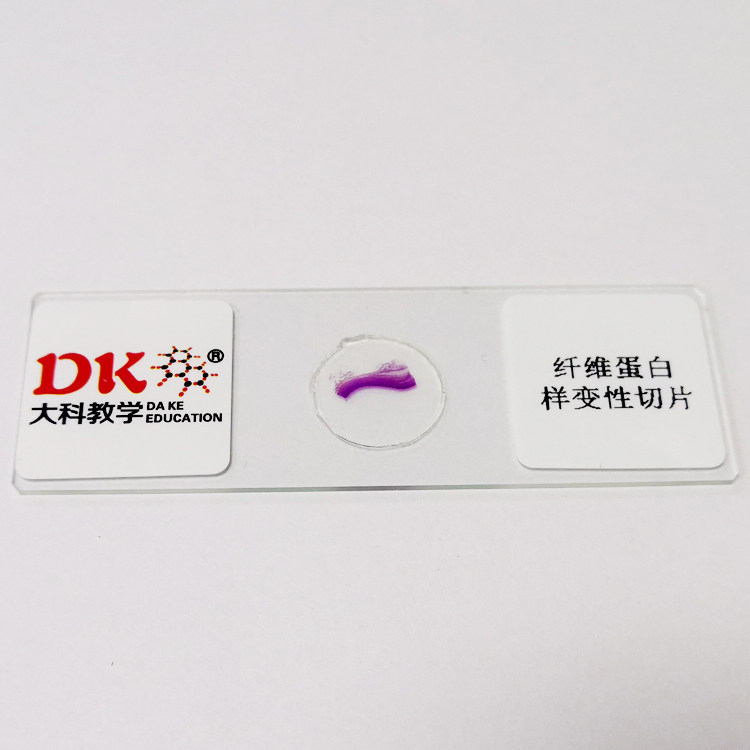 高等院校 组织学类 纤维蛋白样变性切片 生物玻片教学使用