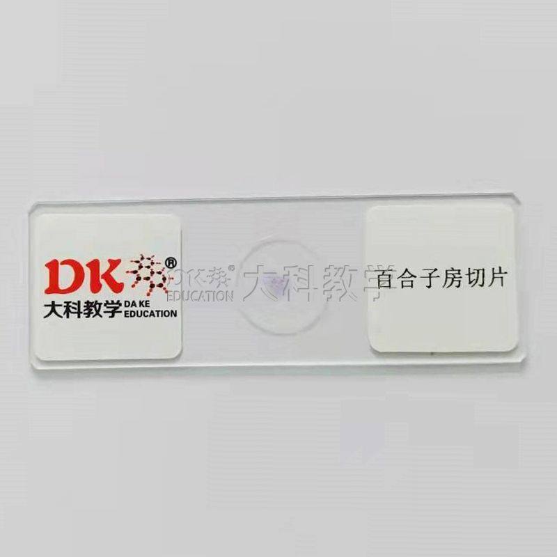 百合子房横切(示胚珠结构)10片/盒 生物切片 玻片标本 中小学