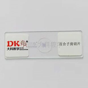 百合子房横切(示胚珠结构)10片/盒 生物切片 玻片标本 中小学