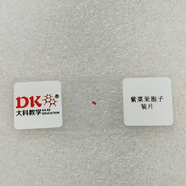 生产厂家显微镜玻片 植物标本  紫菜果胞子装片,文具电教/文化用品/商务用品,教学仪器/实验器材,淘宝优惠券,粉丝福利购,淘宝优惠卷