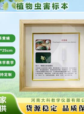 植物虫害标本 农林教学 茶黄螨 草蛉 菜粉蝶 斑衣蜡蝉 甘蓝夜蛾