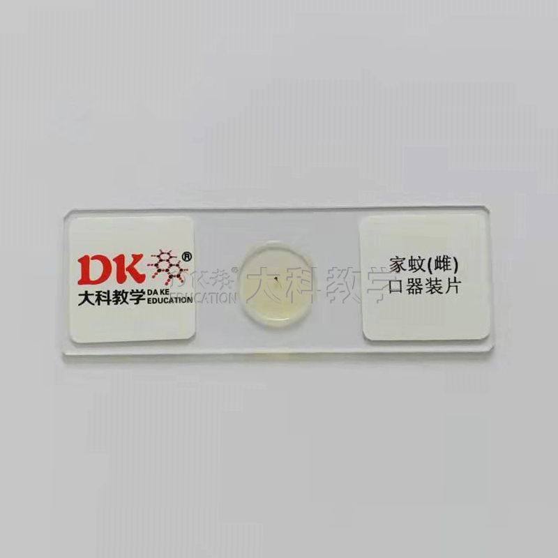 家蚊(雌)口器装片 10片/盒 生物玻片标本 中小学使用,文具电教/文化用品/商务用品,教学仪器/实验器材,淘宝优惠券,粉丝福利购,淘宝优惠卷