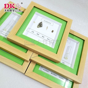 大科教学 昆虫翅类型 昆虫标本 实验室教学器材用品 标本室展览