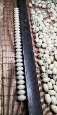 椰枣菩提椰枣核手串佛珠手链菩提子手串