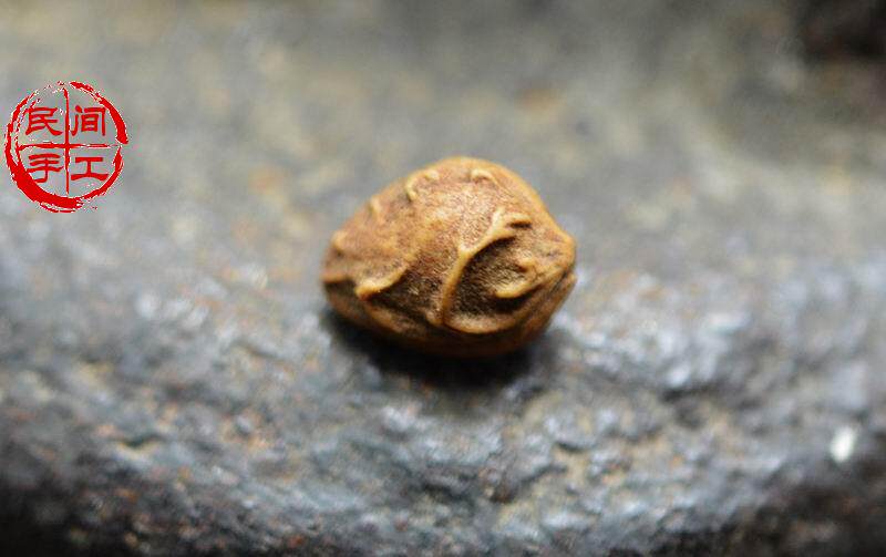 小佛心菩提 佛心菩提 空心菩提 金灯菩提 释迦菩提 紫金钵盂 千眼