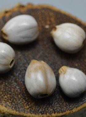 草菩提　草珠子　白色草菩提　佛珠108 灰色 黑色草菩提 星月菩提