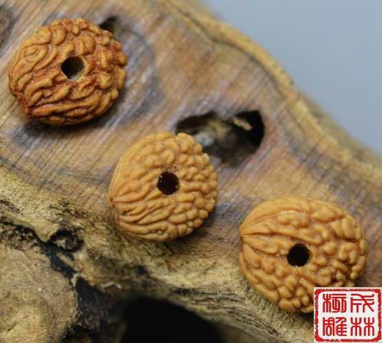 金蝉菩提 蝉宝菩提 金禅菩提 金蟾菩提 紫金钵盂 日进斗金菩提子