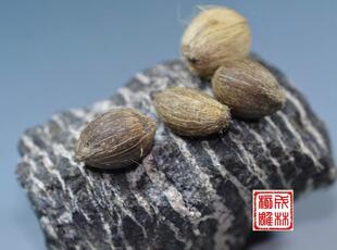 金鼠菩提子 银线菩提 琥珀 蜜蜡 菩提根 凤眼 星月 滴血莲花 橄榄