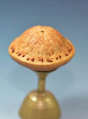 天竺菩提子 印度大品种 品相好 精挑细选  滴血莲花 核雕定做