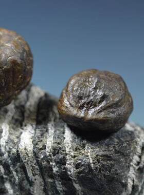 阿修罗菩提子 滴血莲花菩提 佛塔 红豆 桃木 血龙木 沉香 乌木