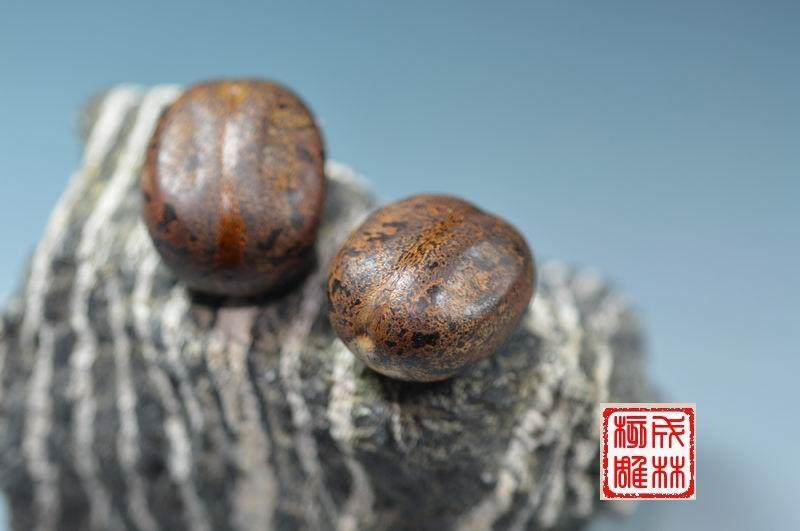 蜜蜡果菩提子 仙桃菩提子  橄榄核雕 紫檀 核桃雕刻 佛珠坠子定做