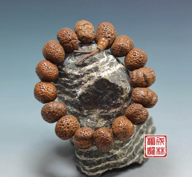 蝉宝菩提子 金蝉菩提子 金佛草菩提子 金刚 金丝菩提 金线菩提