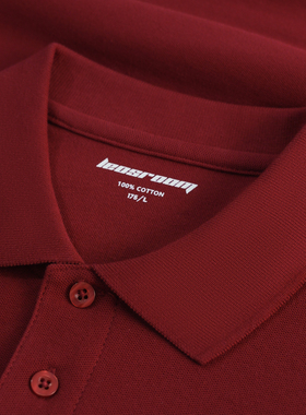 基础男装polo衫夏季短袖T恤通勤休闲纯色流行翻领保罗衫2025新款T