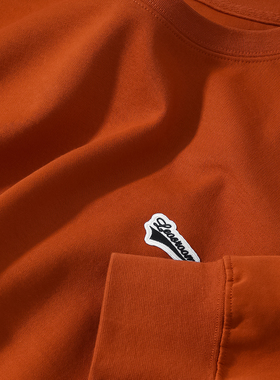 卫衣男薄款外套圆领春秋季2022新款长袖T恤胸前刺绣上衣INS潮男士