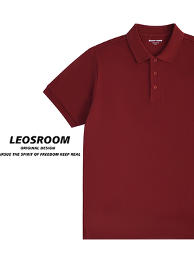 凉感翻领垂顺潮高端带领百搭亲肤t恤男式2025保罗夏季T恤男POLO