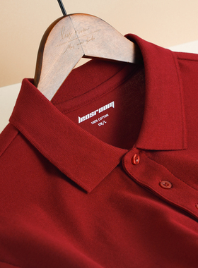 2025透气重磅大码简约潮牌全棉正肩衣服复古基础款夏季潮POLO衫男