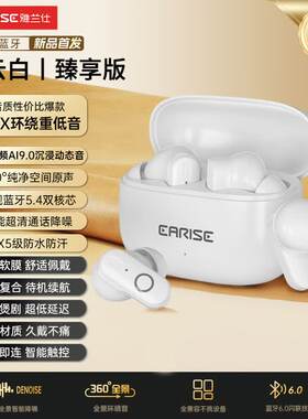 雅兰仕（EARISE）【2025