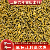 买一送一正宗霍山米斛枫斗龙头凤尾石斛礼盒安徽原产六年养生 包邮