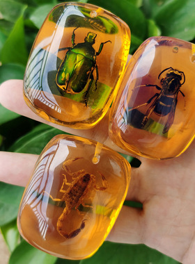 真实昆虫标本人工琥珀蝎子项链蝴蝶吊坠虫珀原石蜘蛛儿童礼物摆件