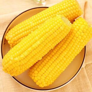 大董占和糯玉米家用商用东北特产青冈新鲜速冻甜糯黄玉米4穗 900g