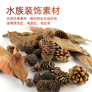 南美缸原生缸造景装 饰天然落叶果实龙眼叶榄仁叶降酸龟缸造景素材