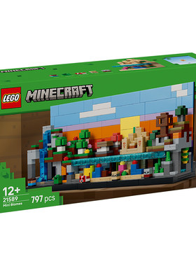 LEGO乐高我的世界系列21589迷你生物群系儿童拼搭积木玩具礼物