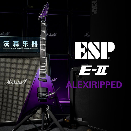 ESPE-IIAlexiLaiho电吉他