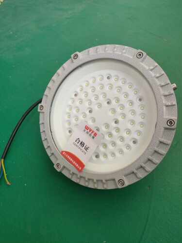 30W40W50W60WLED防爆灯隔爆防水仓库厂房加油站吸顶灯圆形投光灯