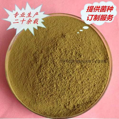 酱油曲精 豆豉豆瓣甜面酱用菌种 东北大酱曲 家庭传统酿造 米曲霉