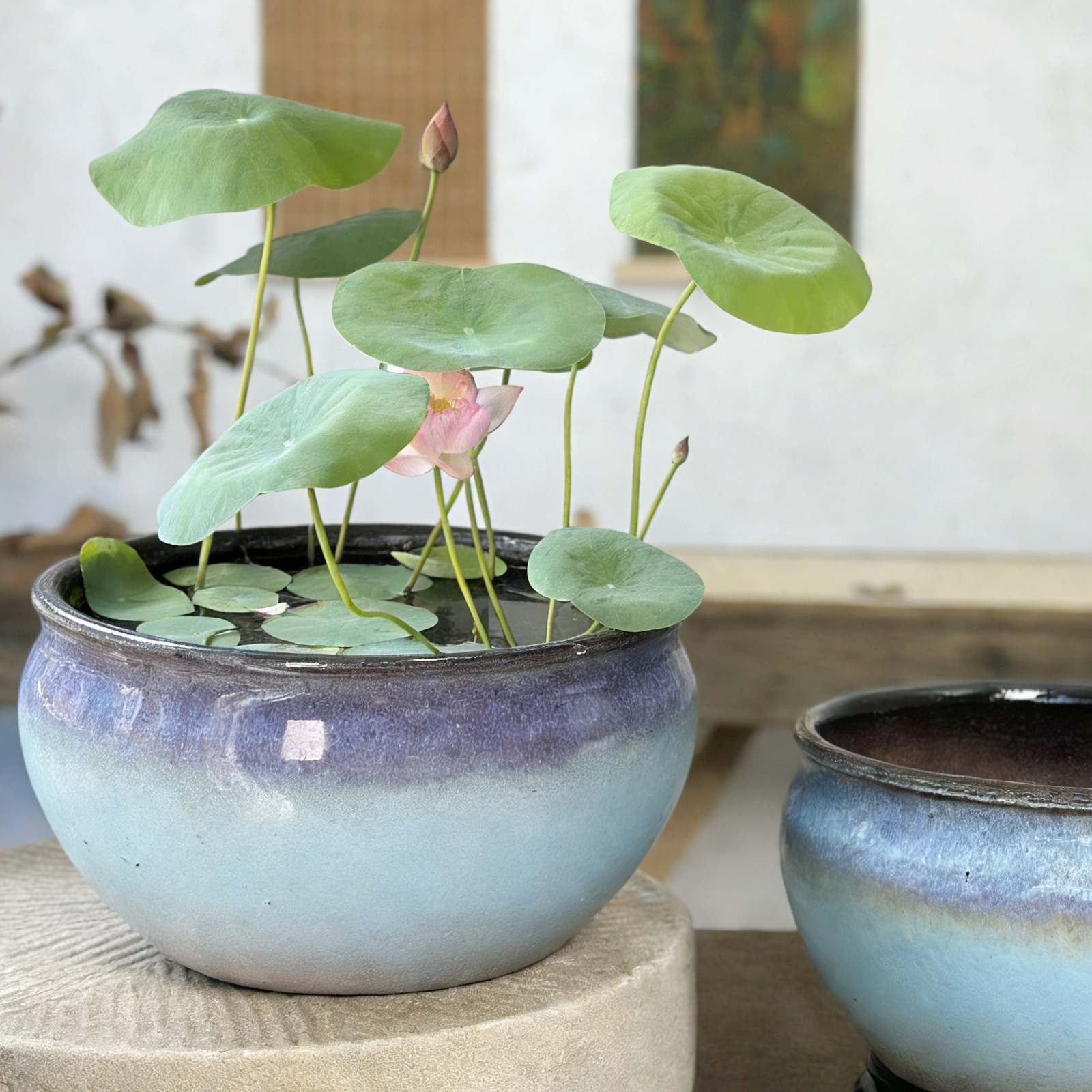 窑变紫碗莲睡莲花盆陶瓷无孔花盆新中式花盆水培花盆铜钱草花盆