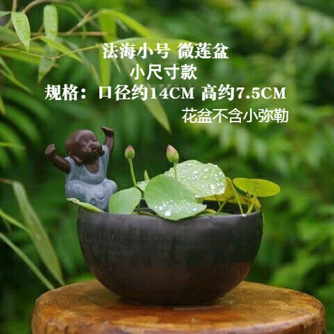 微型碗莲盆微莲盆微型品种适用陶瓷铜钱草花盆无孔盆微瑕多款多色
