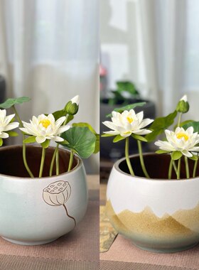 复古陶瓷大号水培花盆