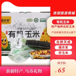 非转基因彩糯黑糯玉米真空包装 疆农家新疆儿童有机糯小玉米棒